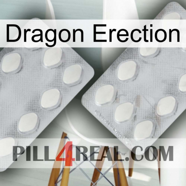 Dragon Erection 17.jpg